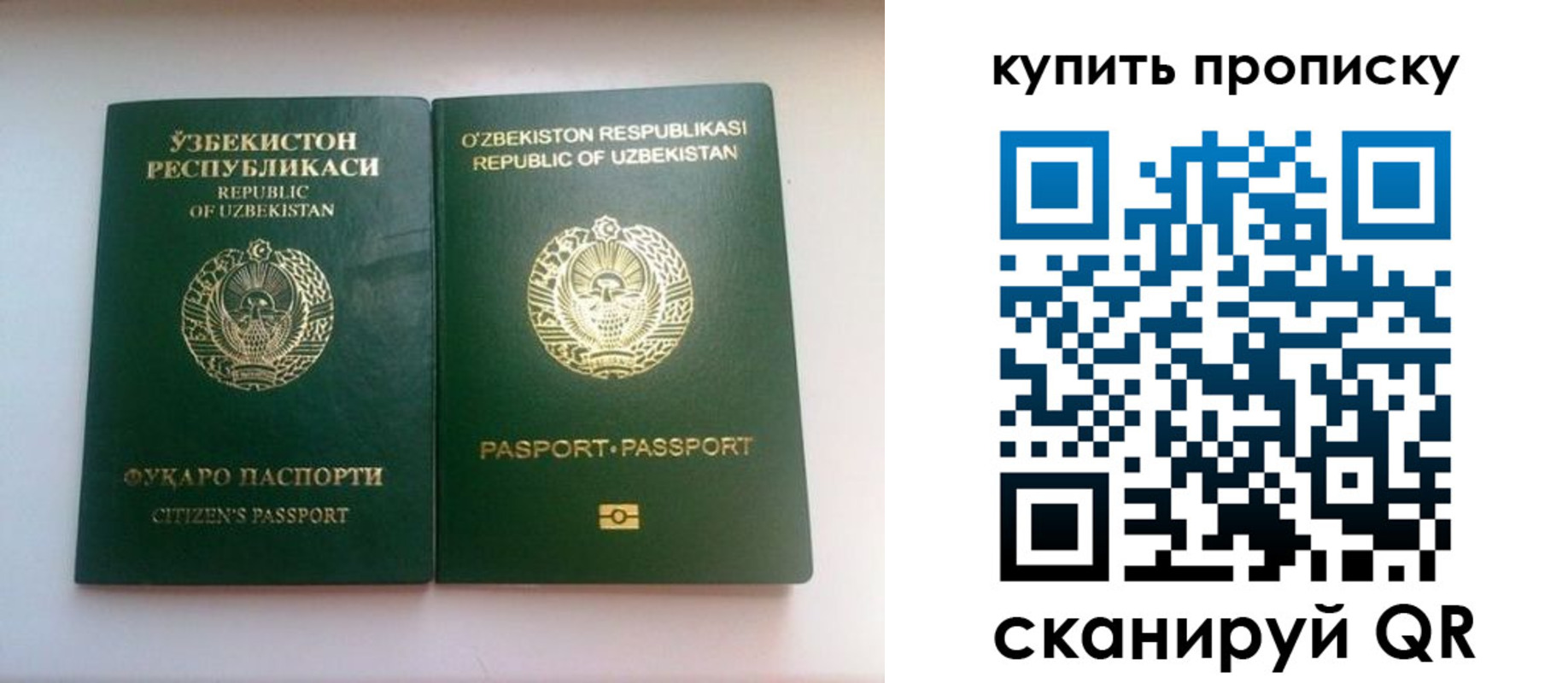прописка в квартире в Тереке